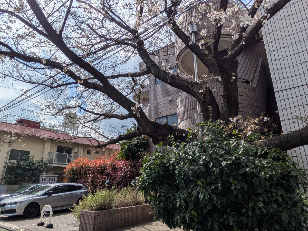 fresh/building/J00100384629_6