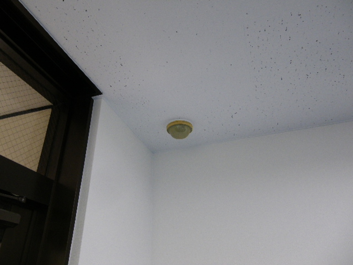 fresh/building/J00100384822_11