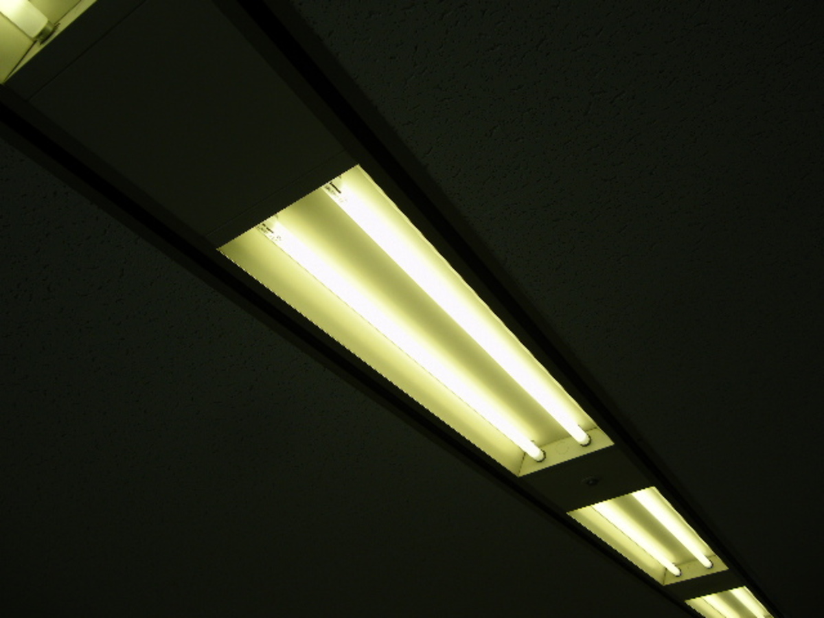 fresh/building/J00100385023_13