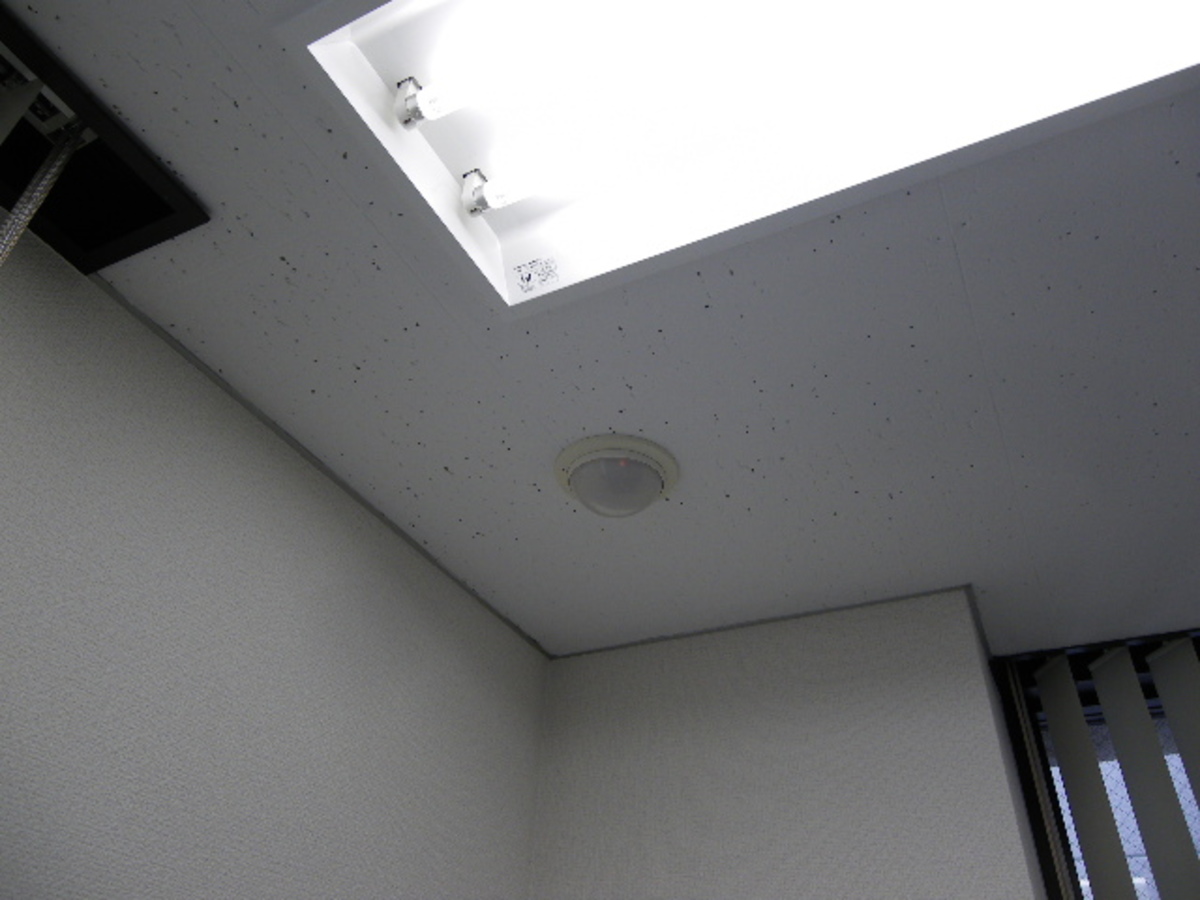 fresh/building/J00100385056_11