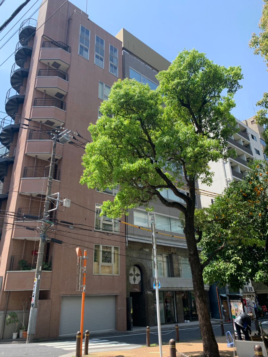 fresh/building/J00100385358_27