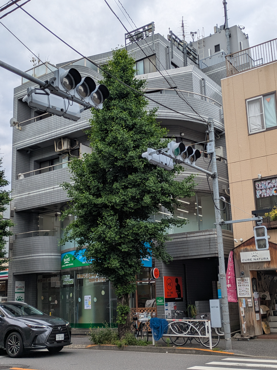 fresh/building/J00100386250_5
