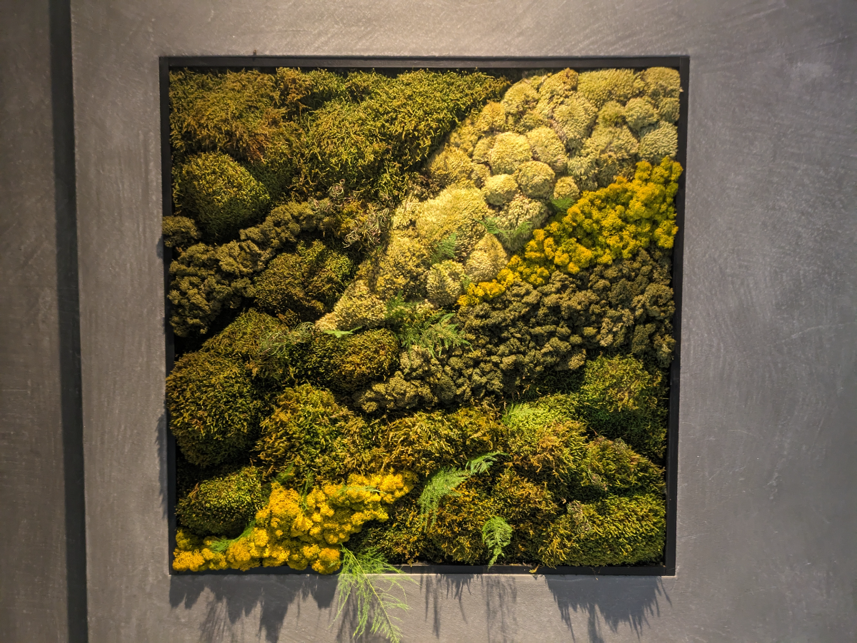 fresh/building/J00100386270_6