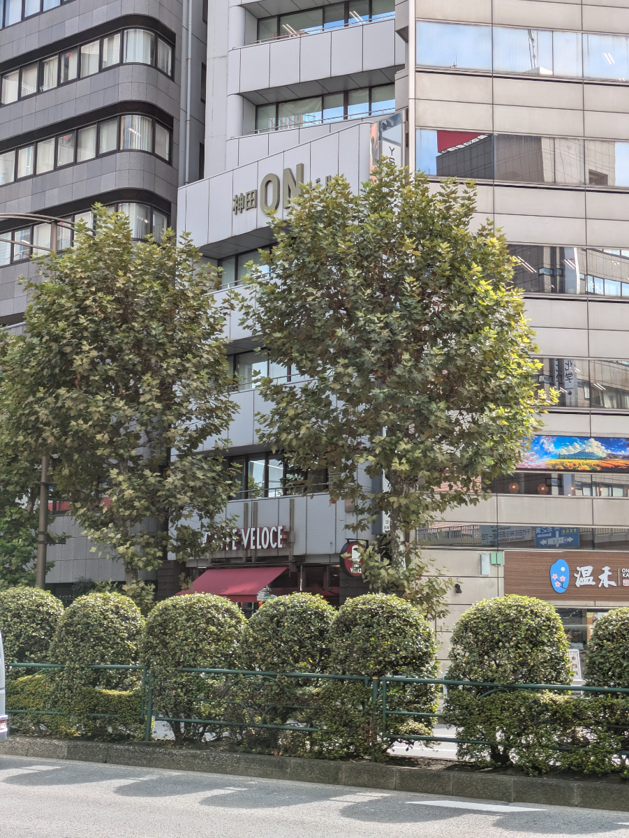 fresh/building/J00100386338_19