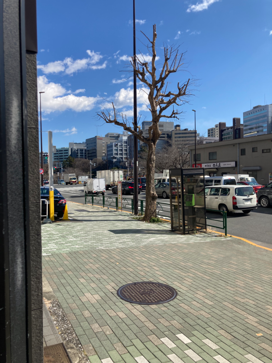 fresh/building/J00100386873_2