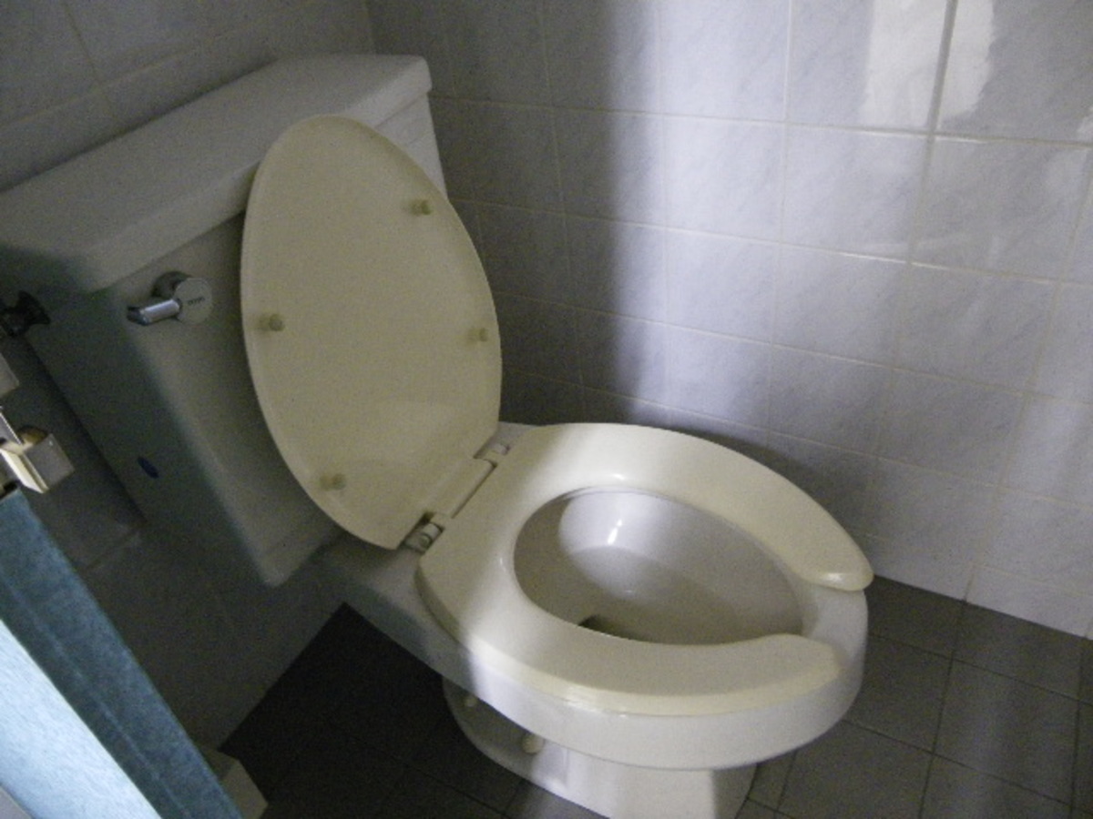 fresh/building/J00100386987_7