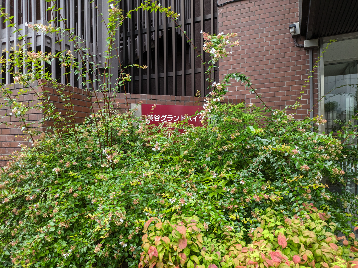 fresh/building/J00100386992_16