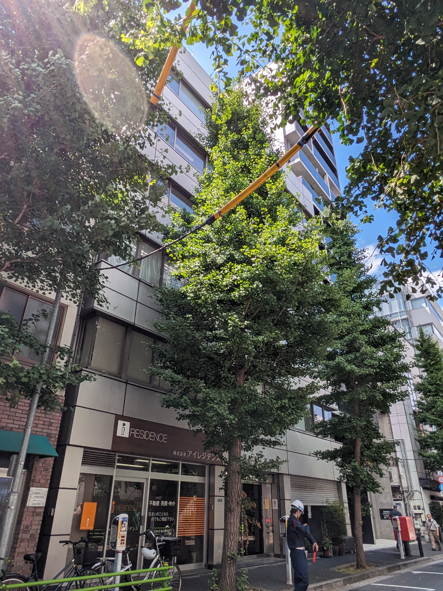 fresh/building/J00100386995_6