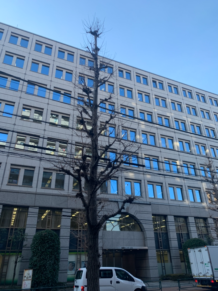 fresh/building/J00100387282_8