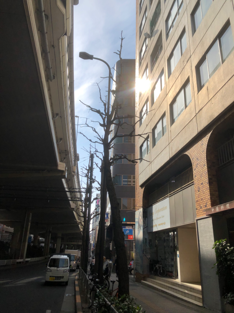 fresh/building/J00100387327_2