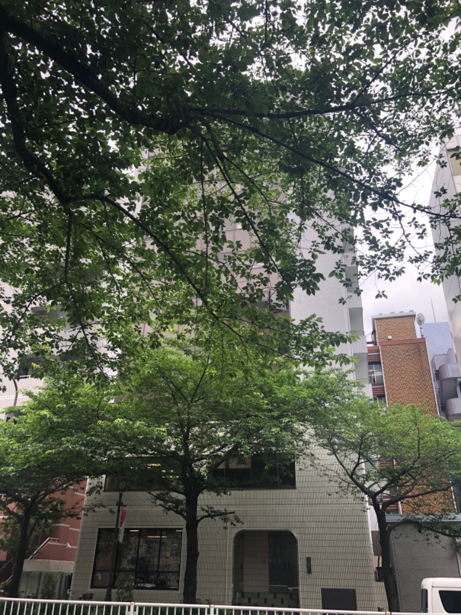 fresh/building/J00100387603_6