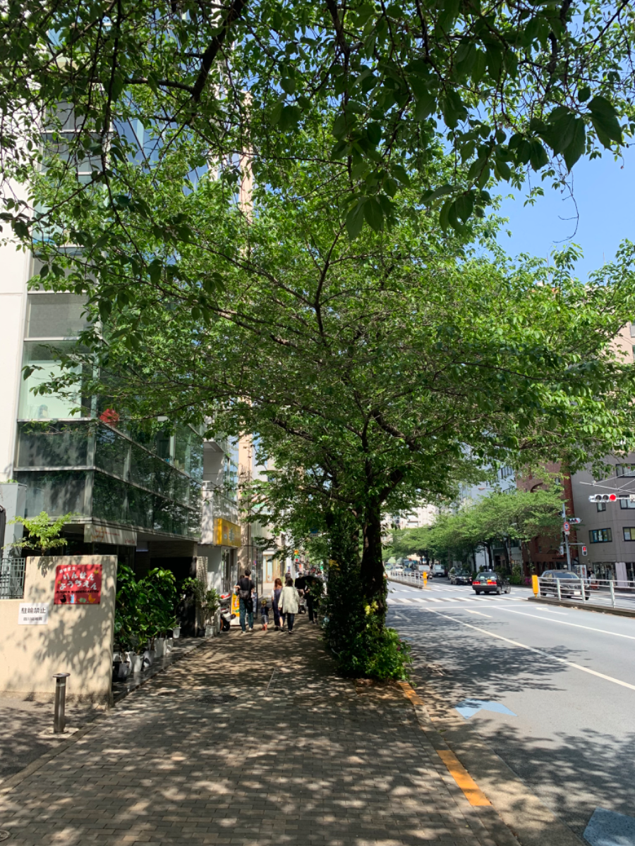 fresh/building/J00100387610_2
