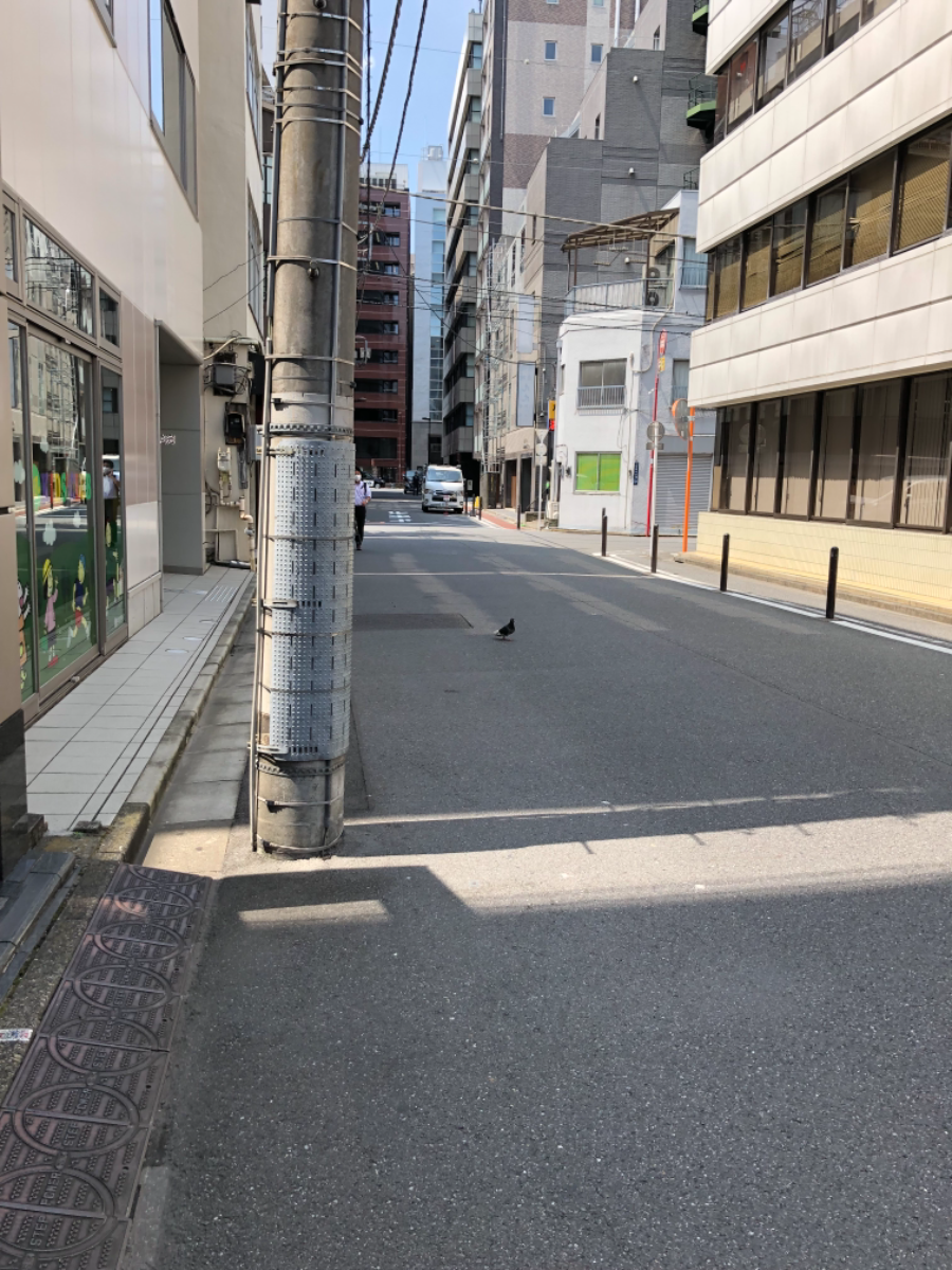 fresh/building/J00100388949_2