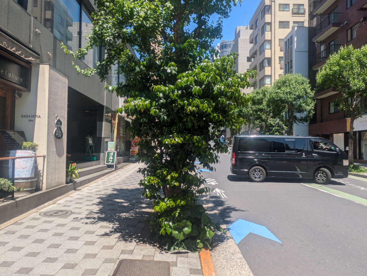 fresh/building/J00100389493_11