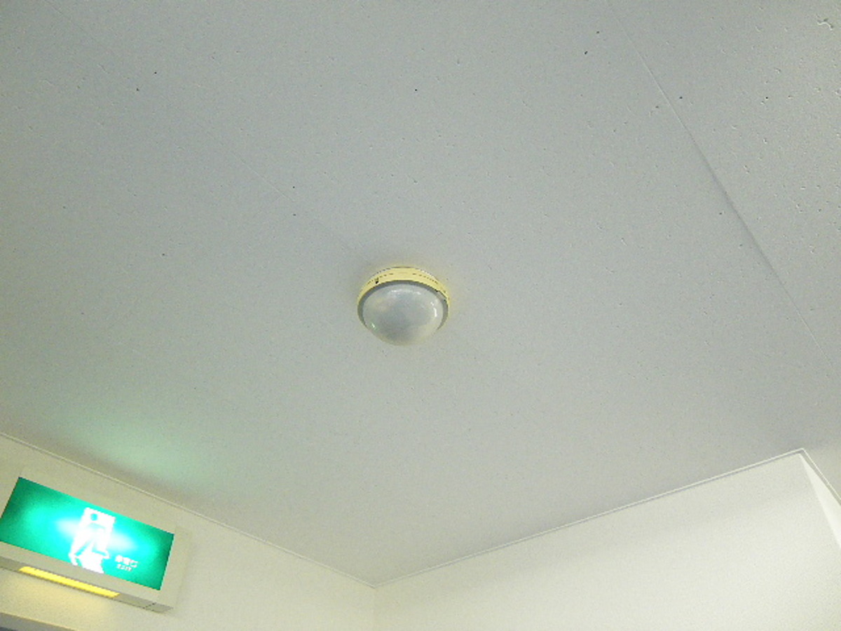 fresh/building/J00100389515_10