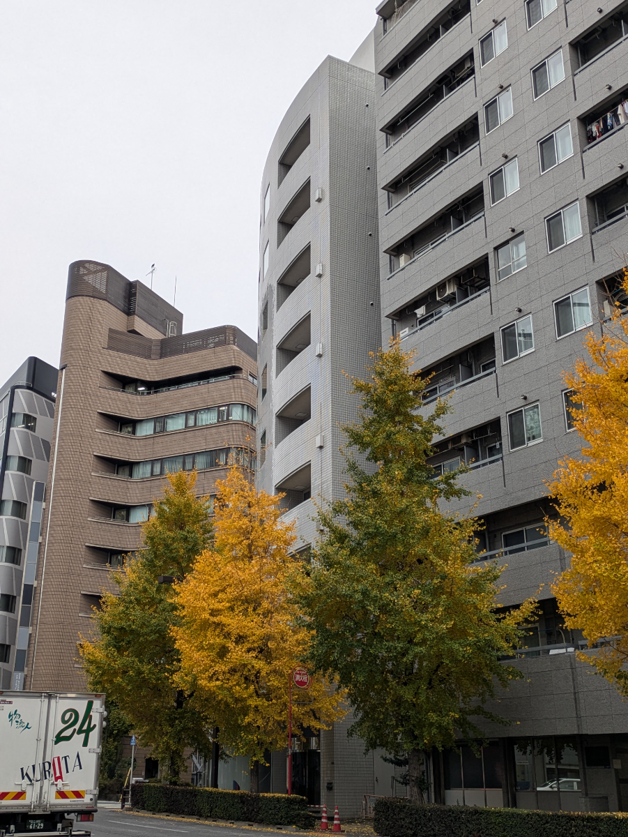 fresh/building/J00100390043_9