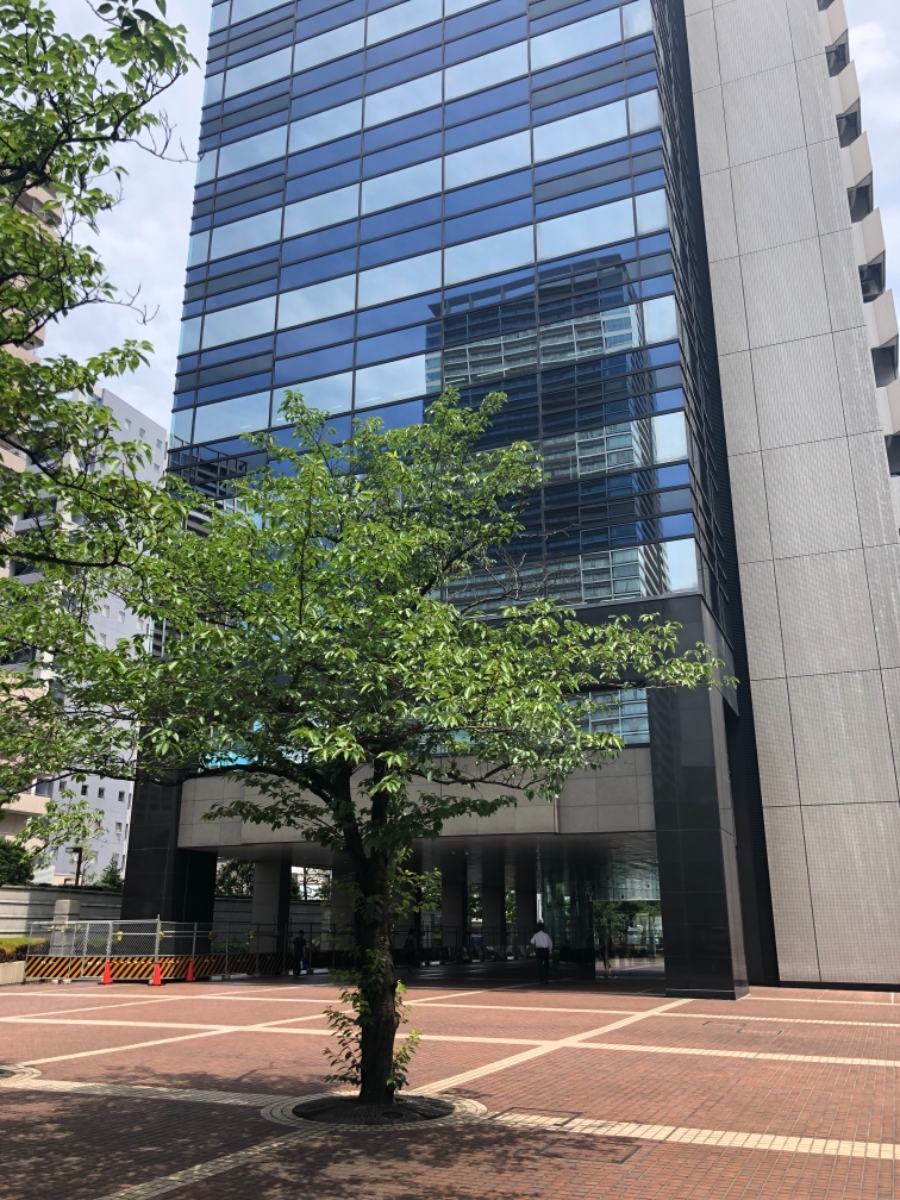 fresh/building/J00100390113_25