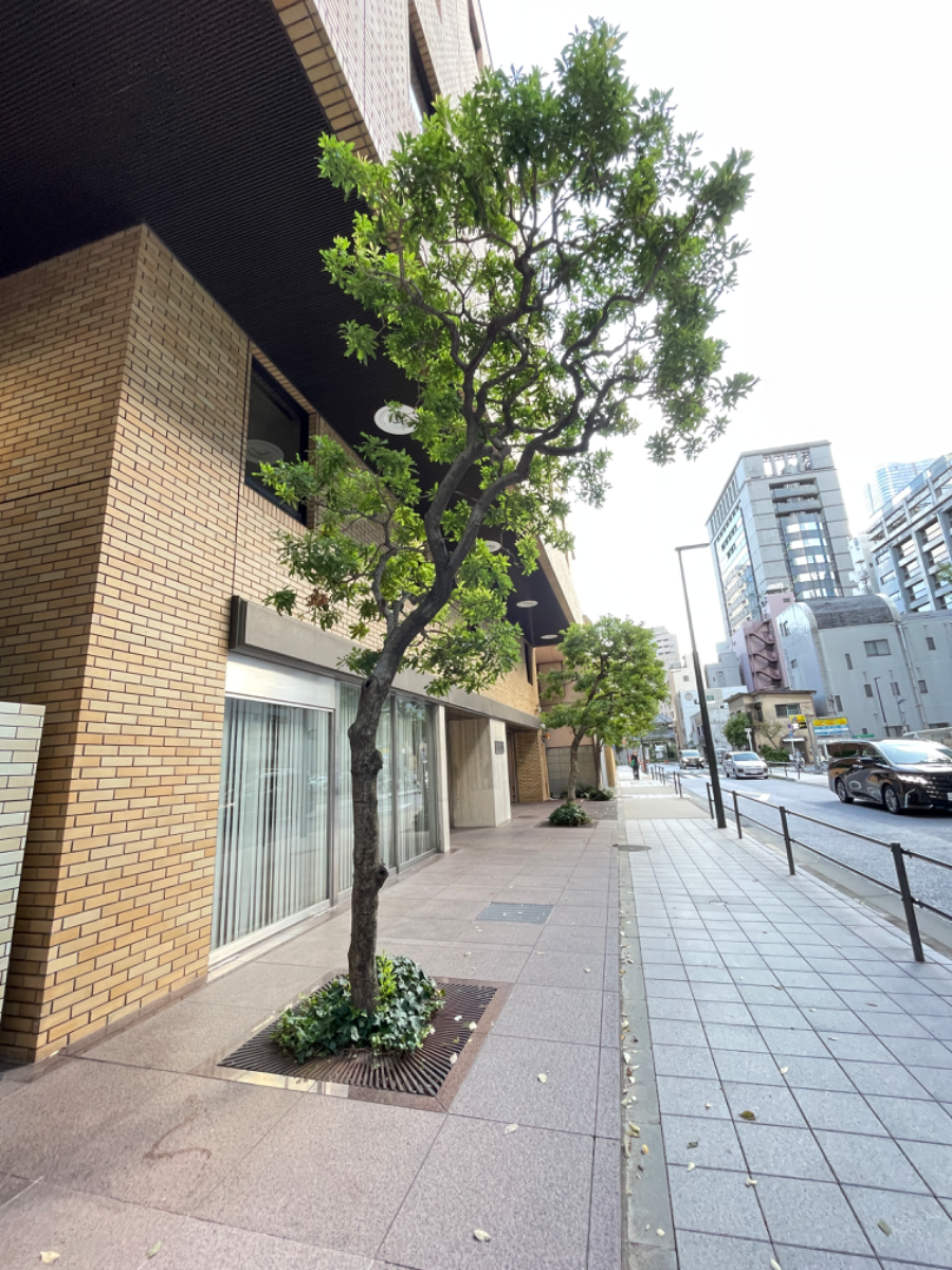 fresh/building/J00100390276_12