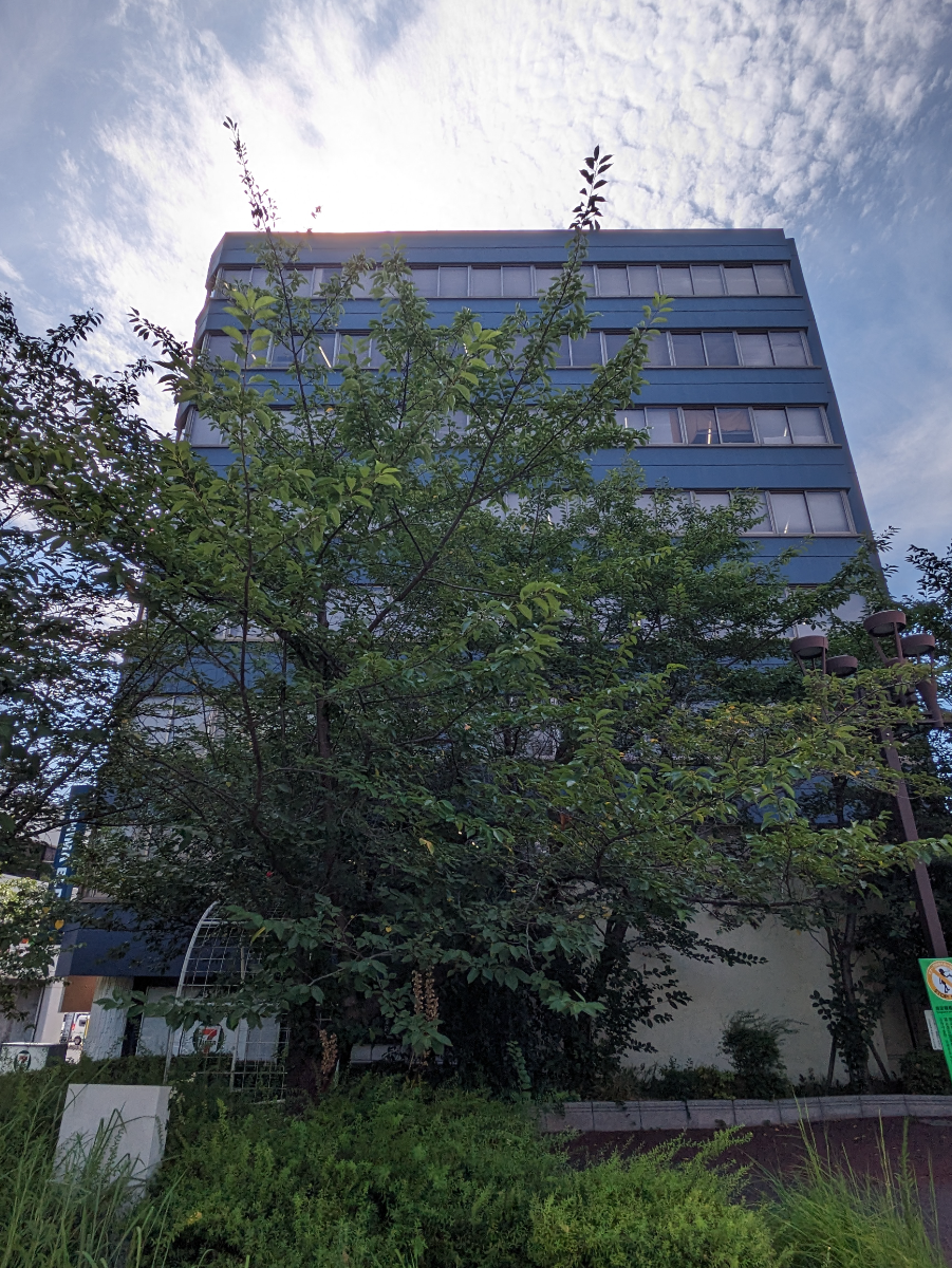 fresh/building/J00100390406_11