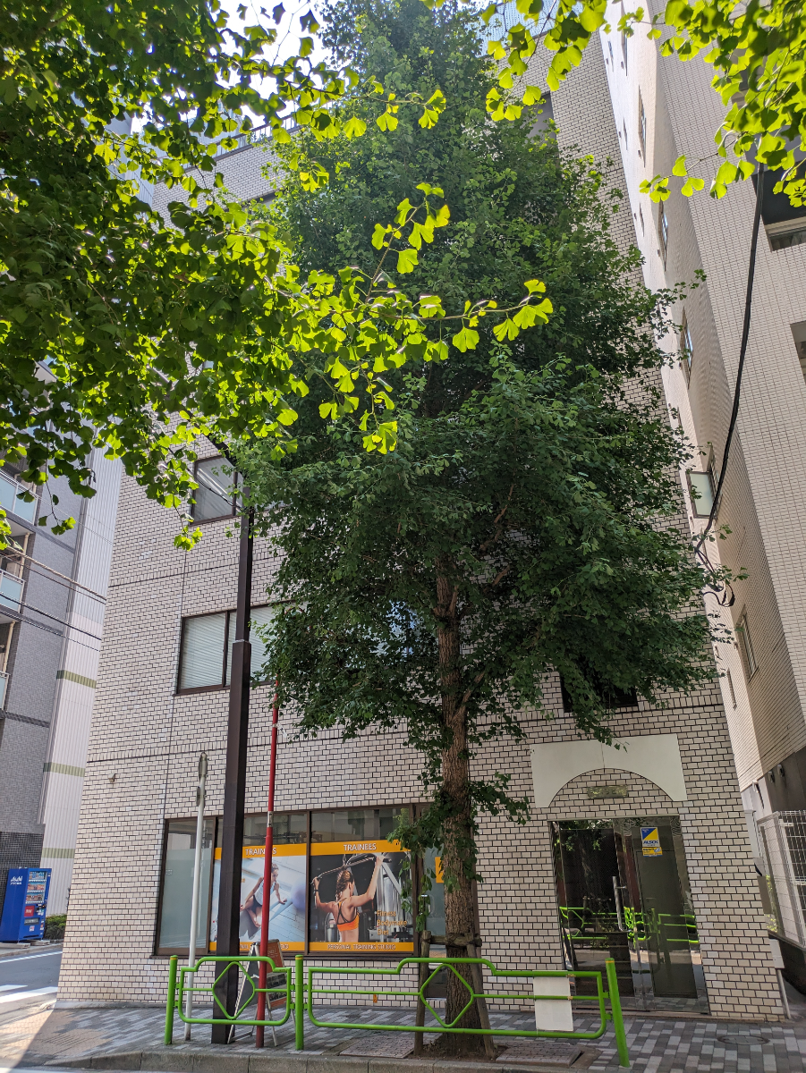 fresh/building/J00100390577_8