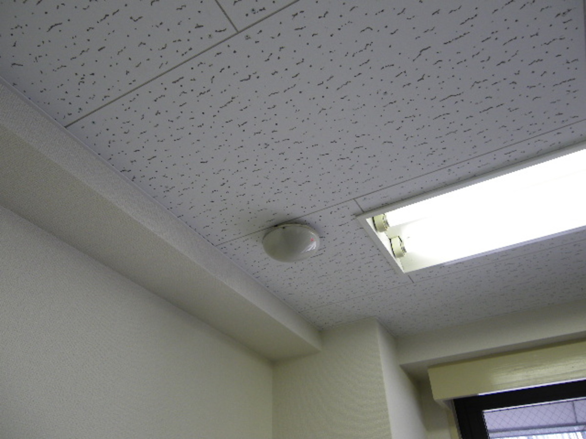 fresh/building/J00100390583_11