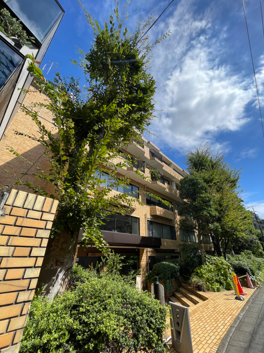 fresh/building/J00100390889_8