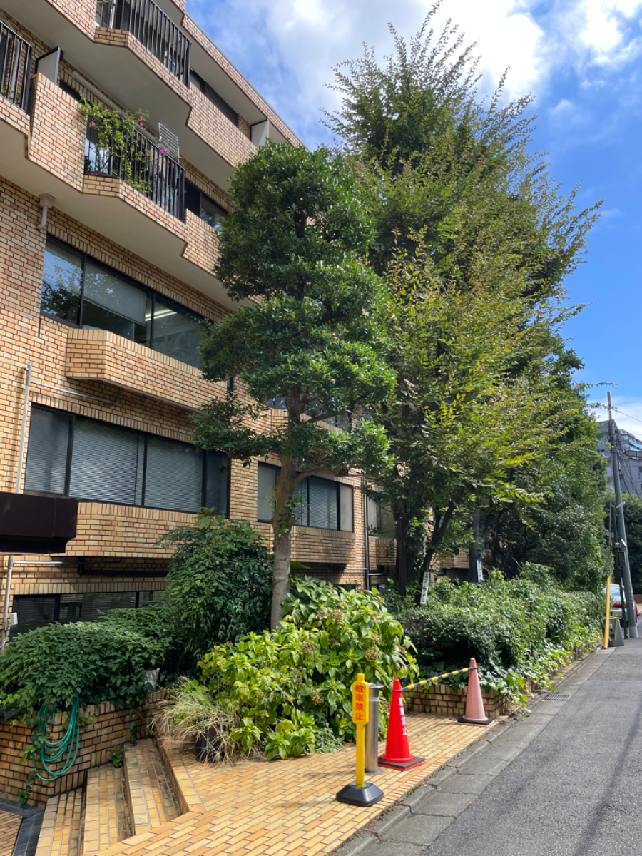 fresh/building/J00100390889_9