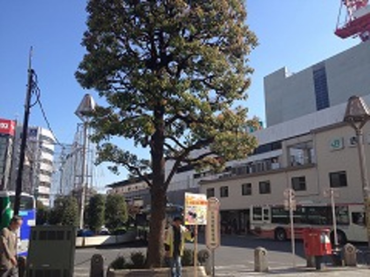 fresh/building/J00100391148_2