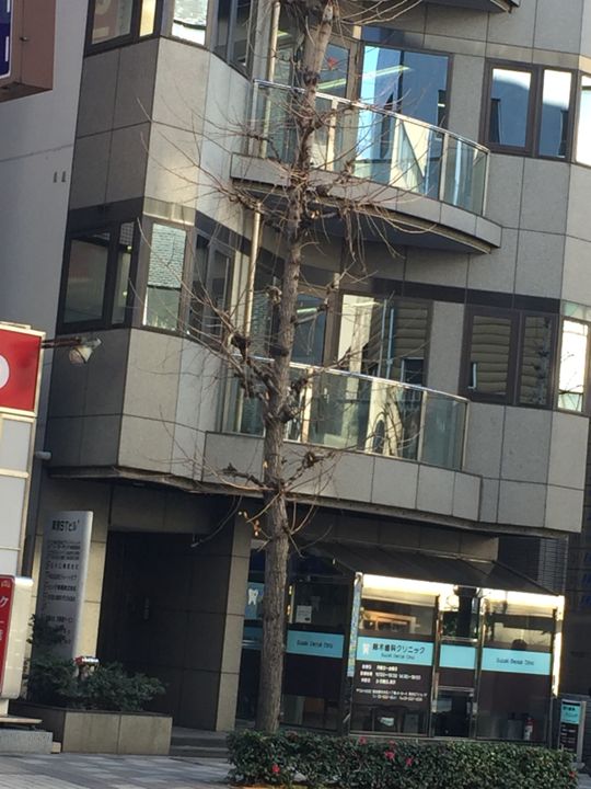 fresh/building/J00100391216_12