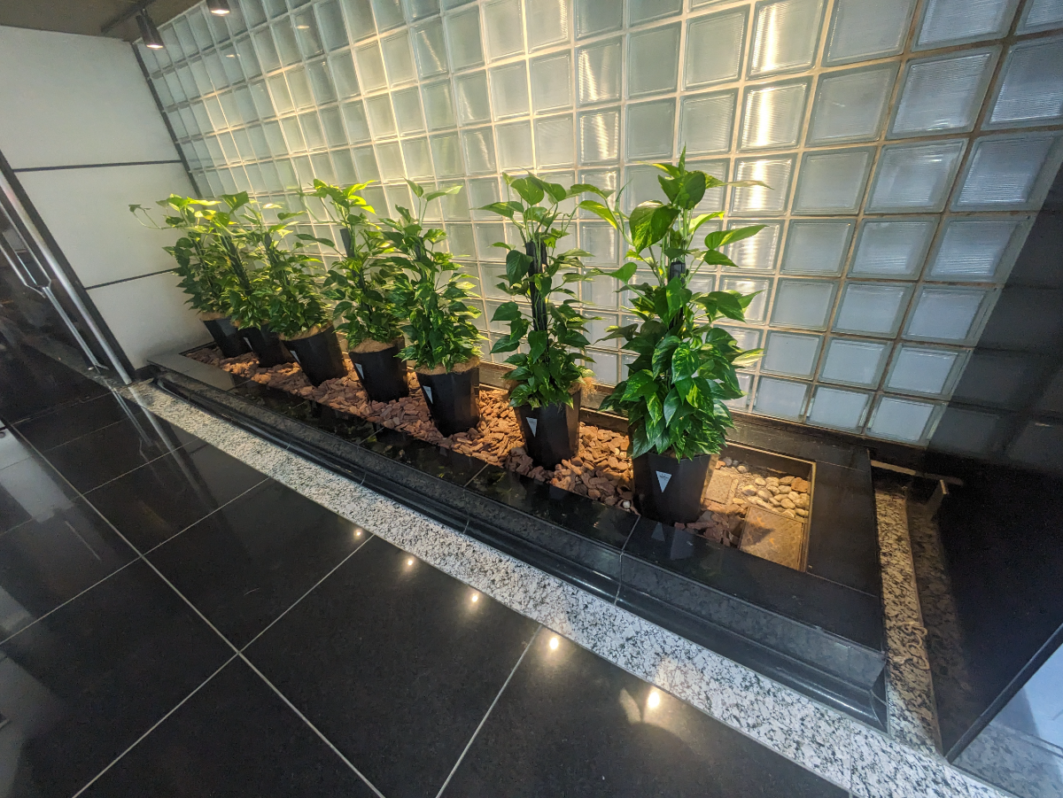 fresh/building/J00100391655_7