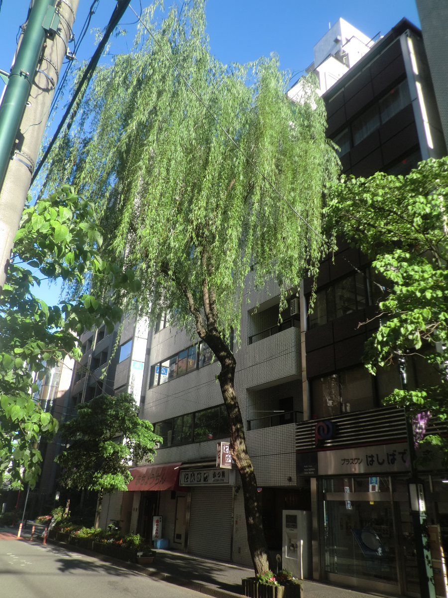 fresh/building/J00100391676_8