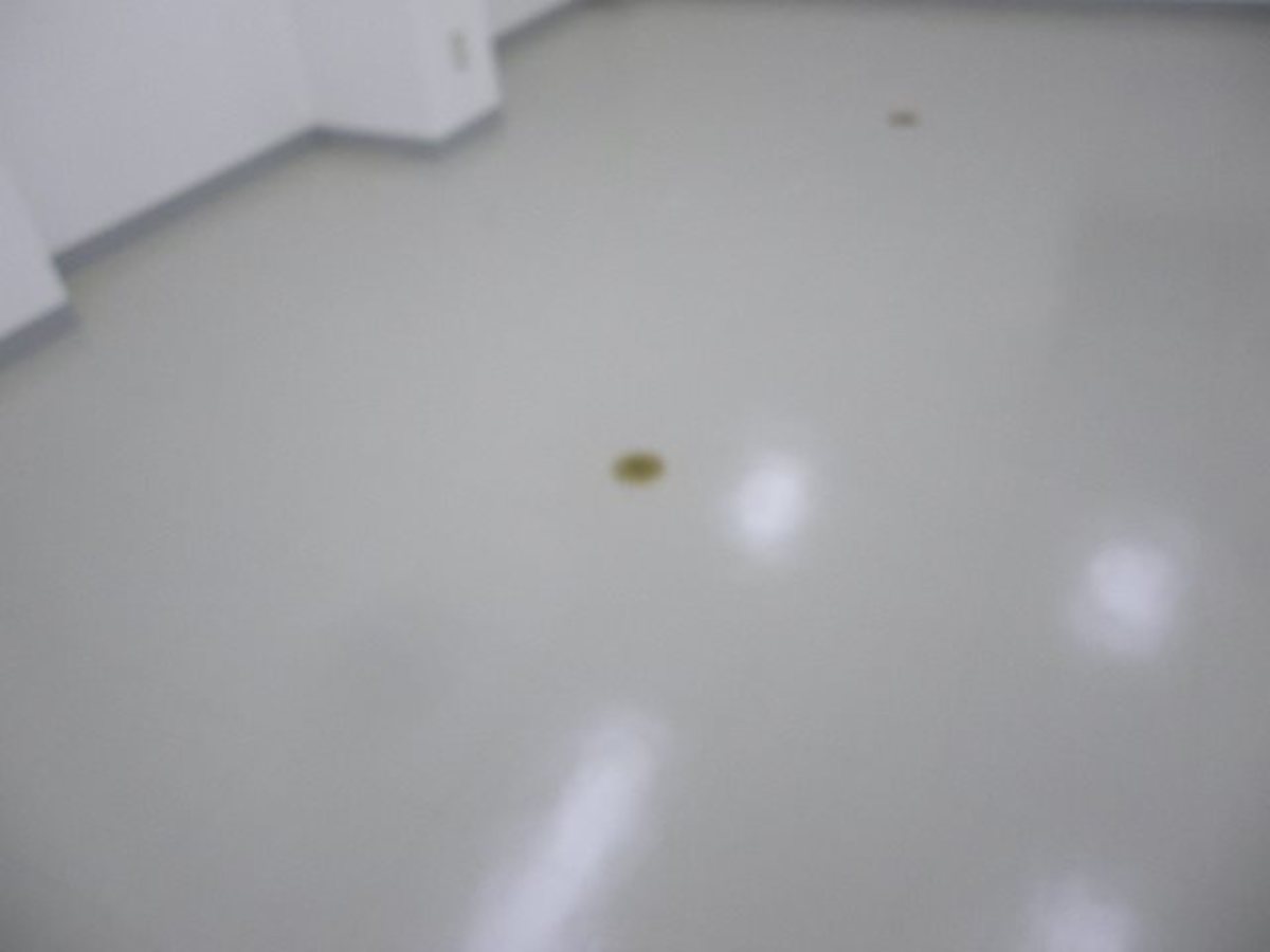 fresh/building/J00100391897_11