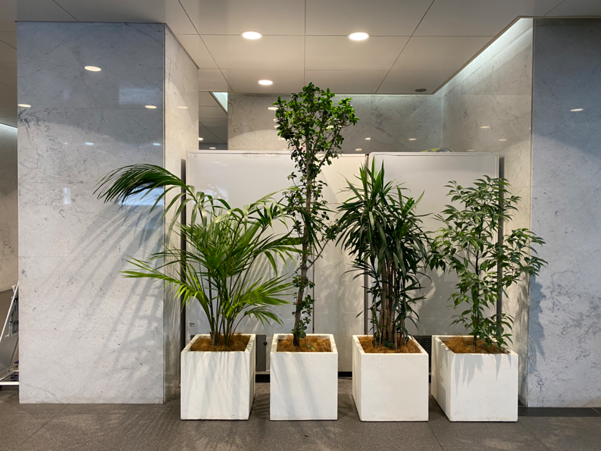fresh/building/J00100392033_16