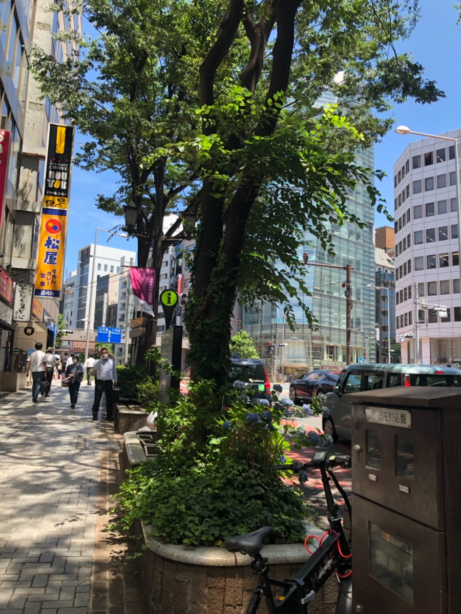 fresh/building/J00100392125_7