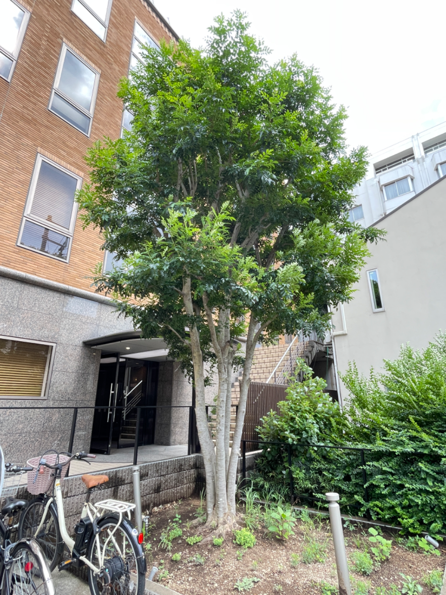 fresh/building/J00100392612_9