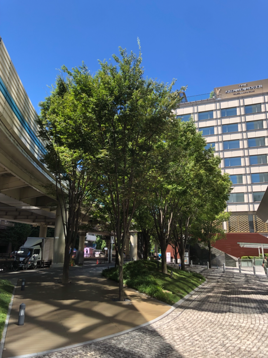 fresh/building/J00100392678_13