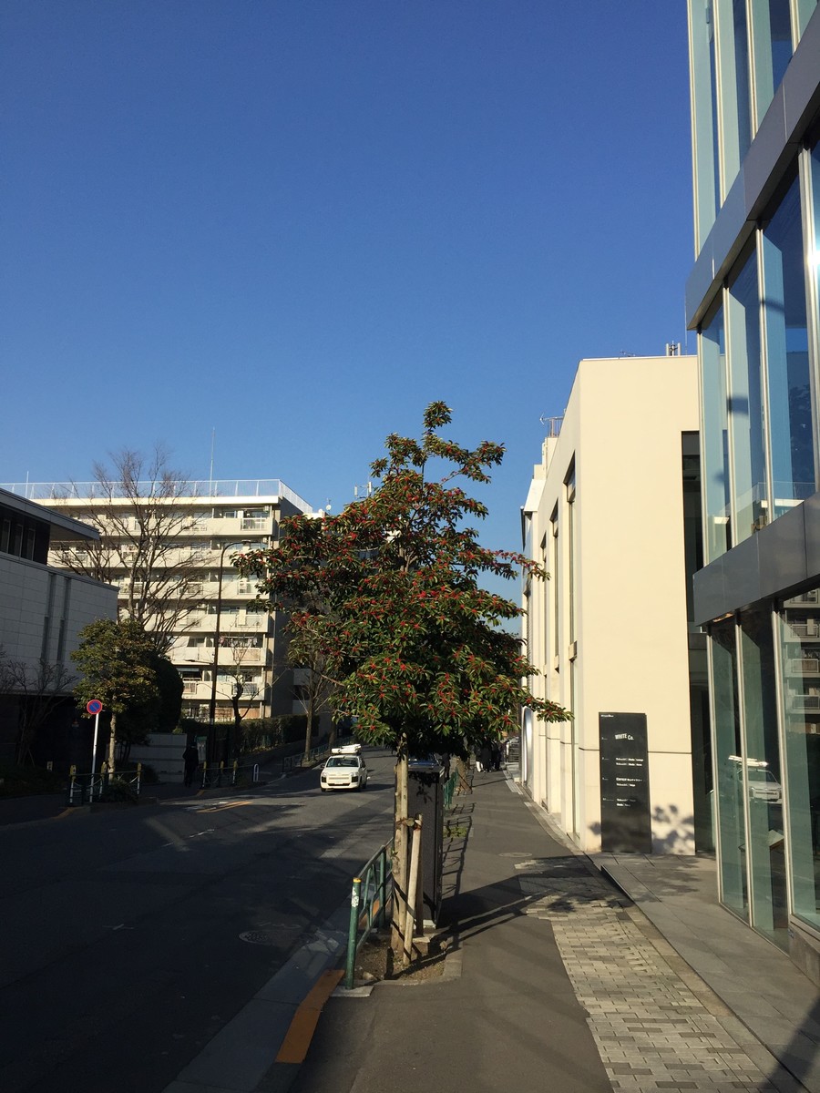 fresh/building/J00100392717_2