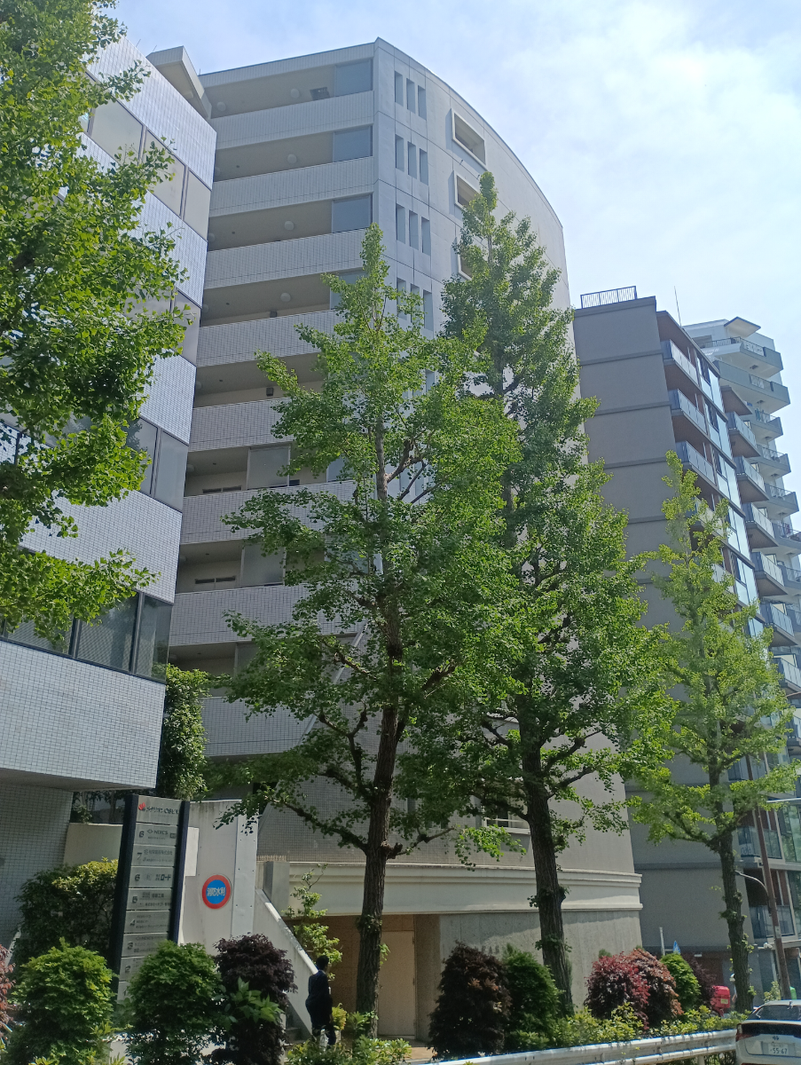 fresh/building/J00100393256_5