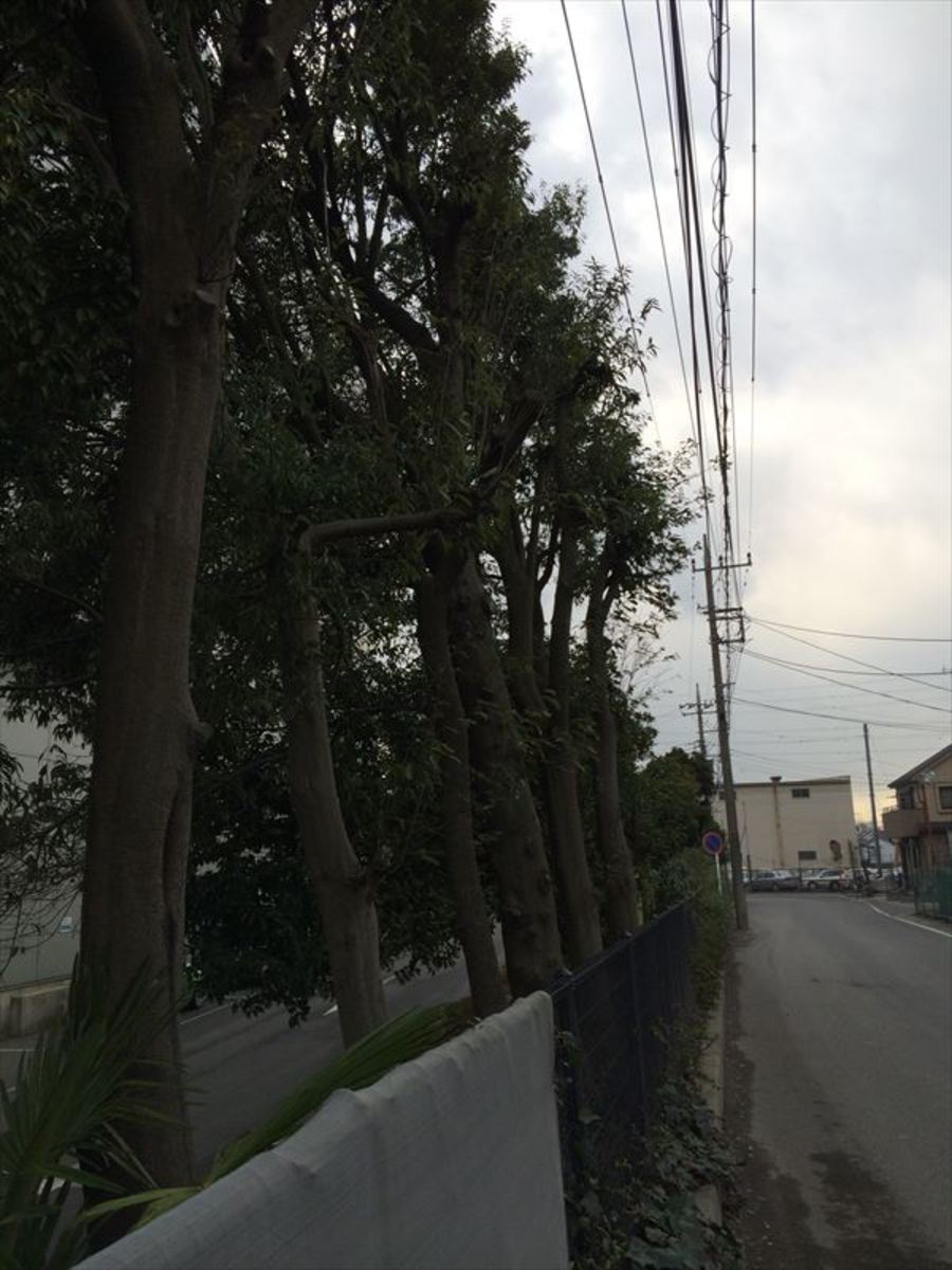 fresh/building/J00100393555_2