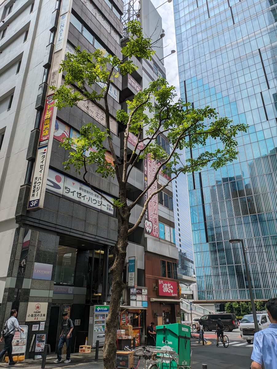 fresh/building/J00100394054_12