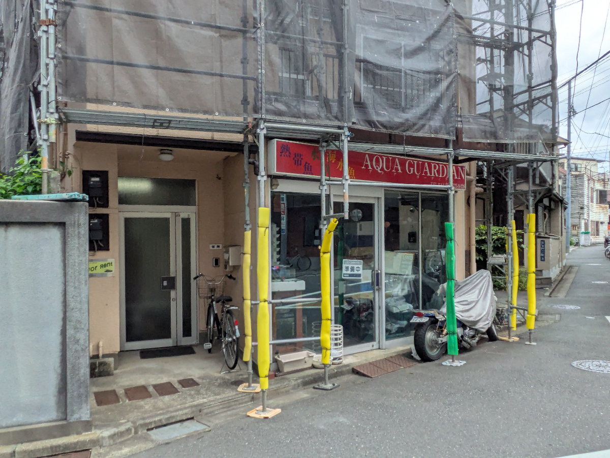 fresh/building/J00100394091_8