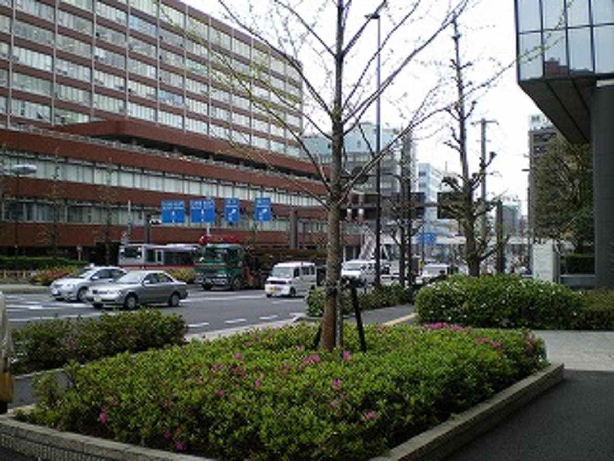 fresh/building/J00100394399_2