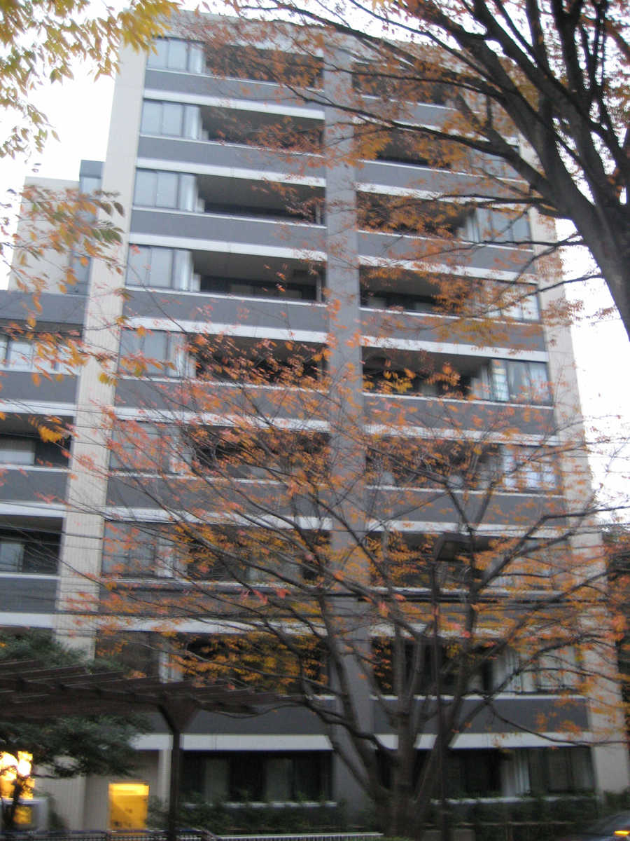 fresh/building/J00100394711_1