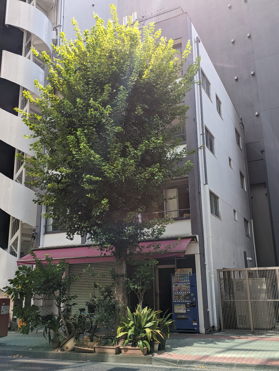 fresh/building/J00100395008_6
