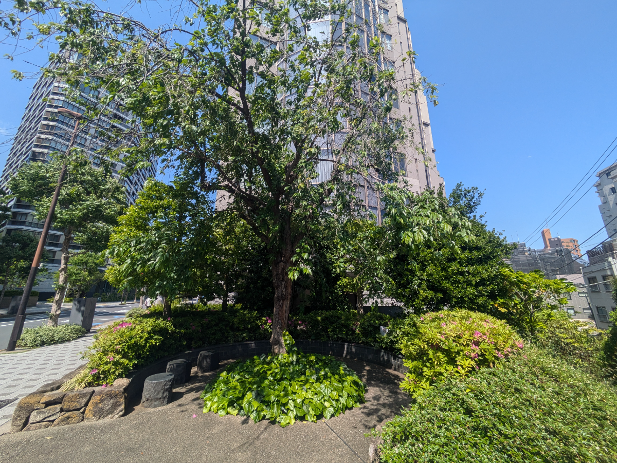 fresh/building/J00100395692_8