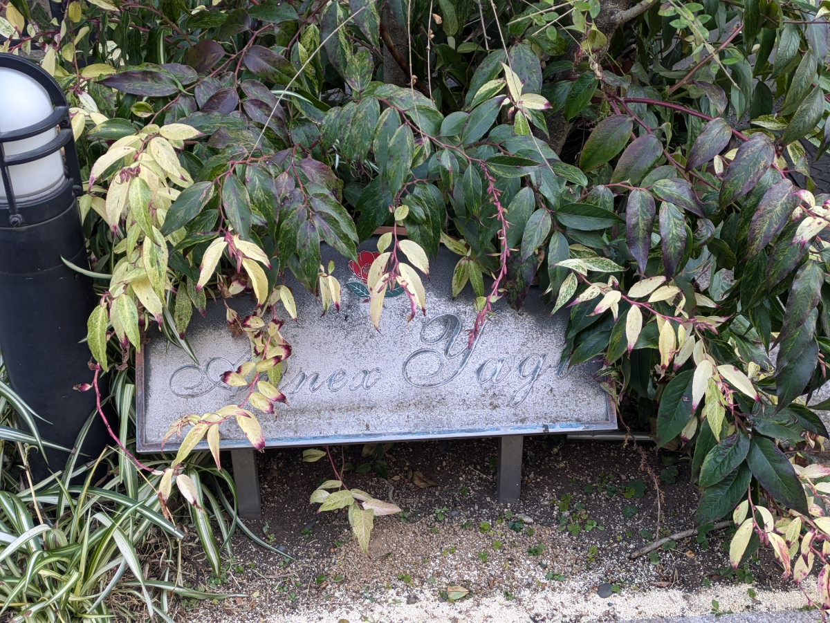 fresh/building/J00100396034_8