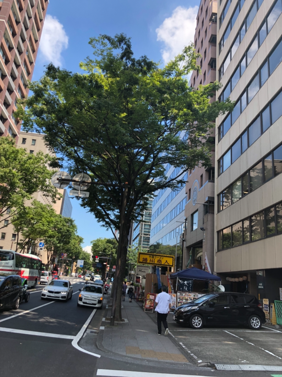 fresh/building/J00100396345_2