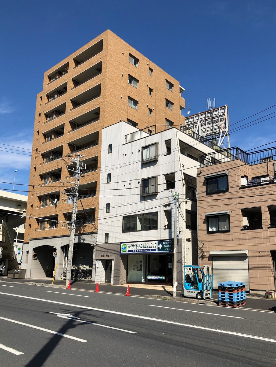 fresh/building/J00100396386_5