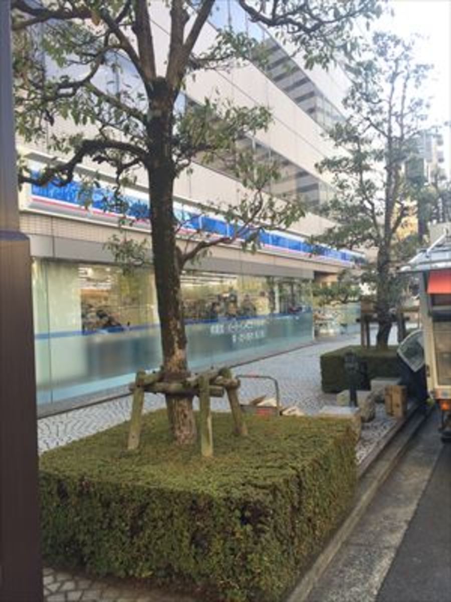 fresh/building/J00100396447_12