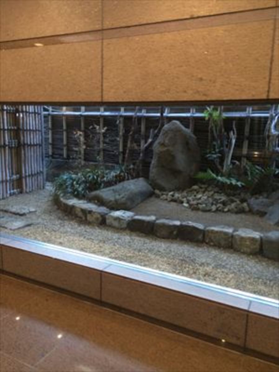 fresh/building/J00100396447_17